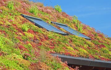Flempton living roof systems